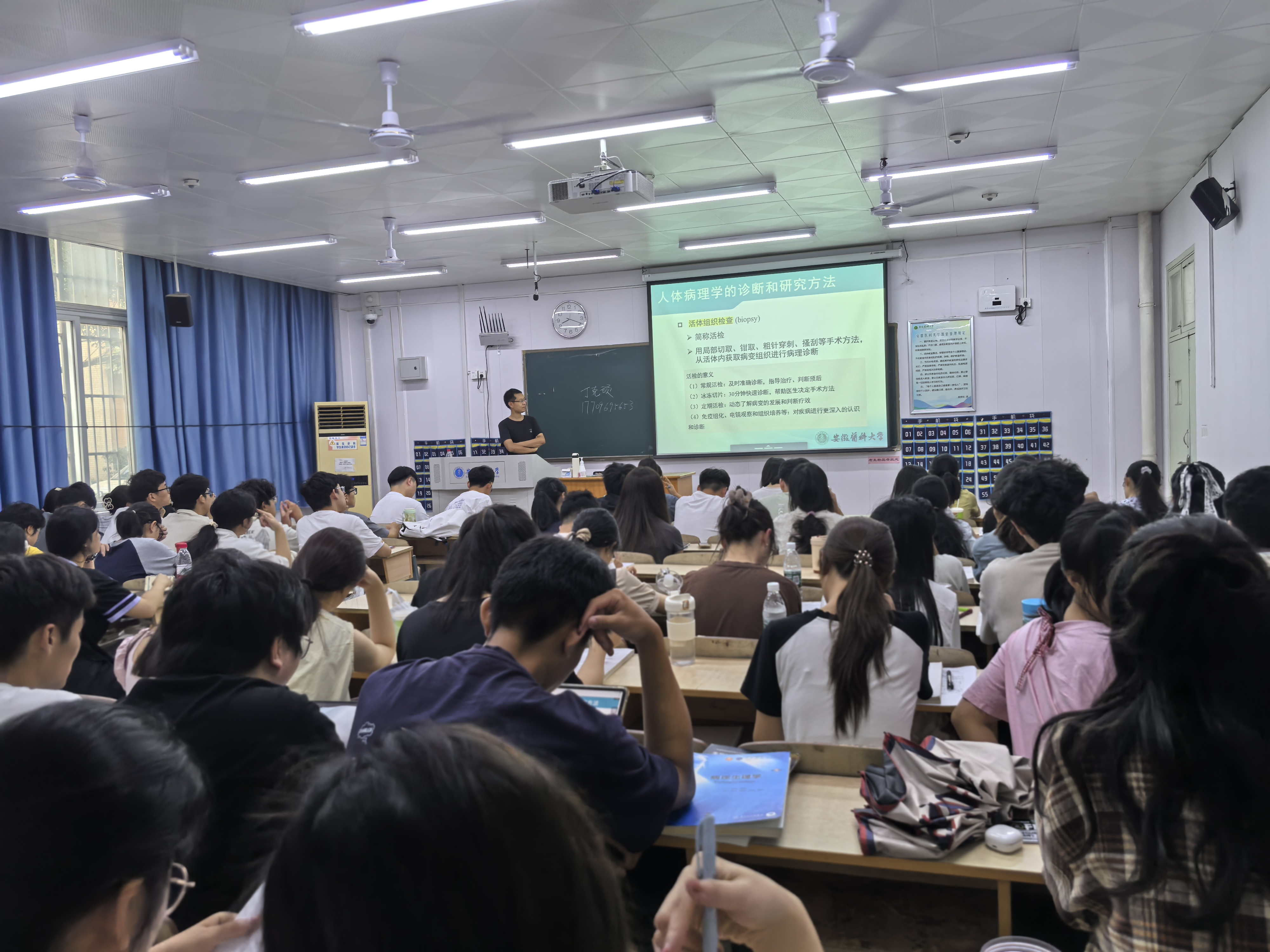 /crm/product/image/20240902/1725329289176021580.jpg /crm/product/image/20240902/1725329289176021580.jpg