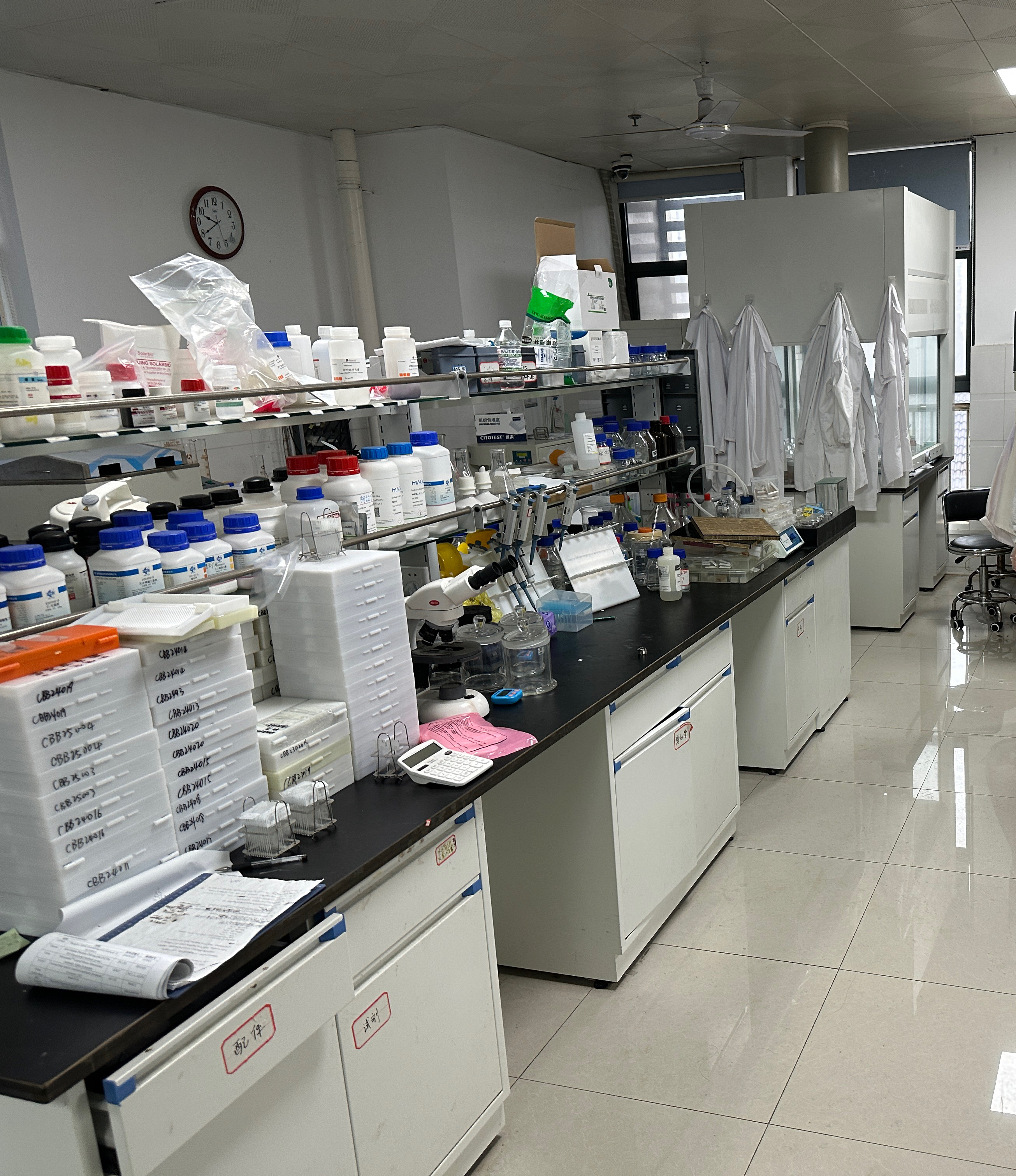 /crm/product/image/20251113/1763017013447053115.png /crm/product/image/20251113/1763017013447053115.png