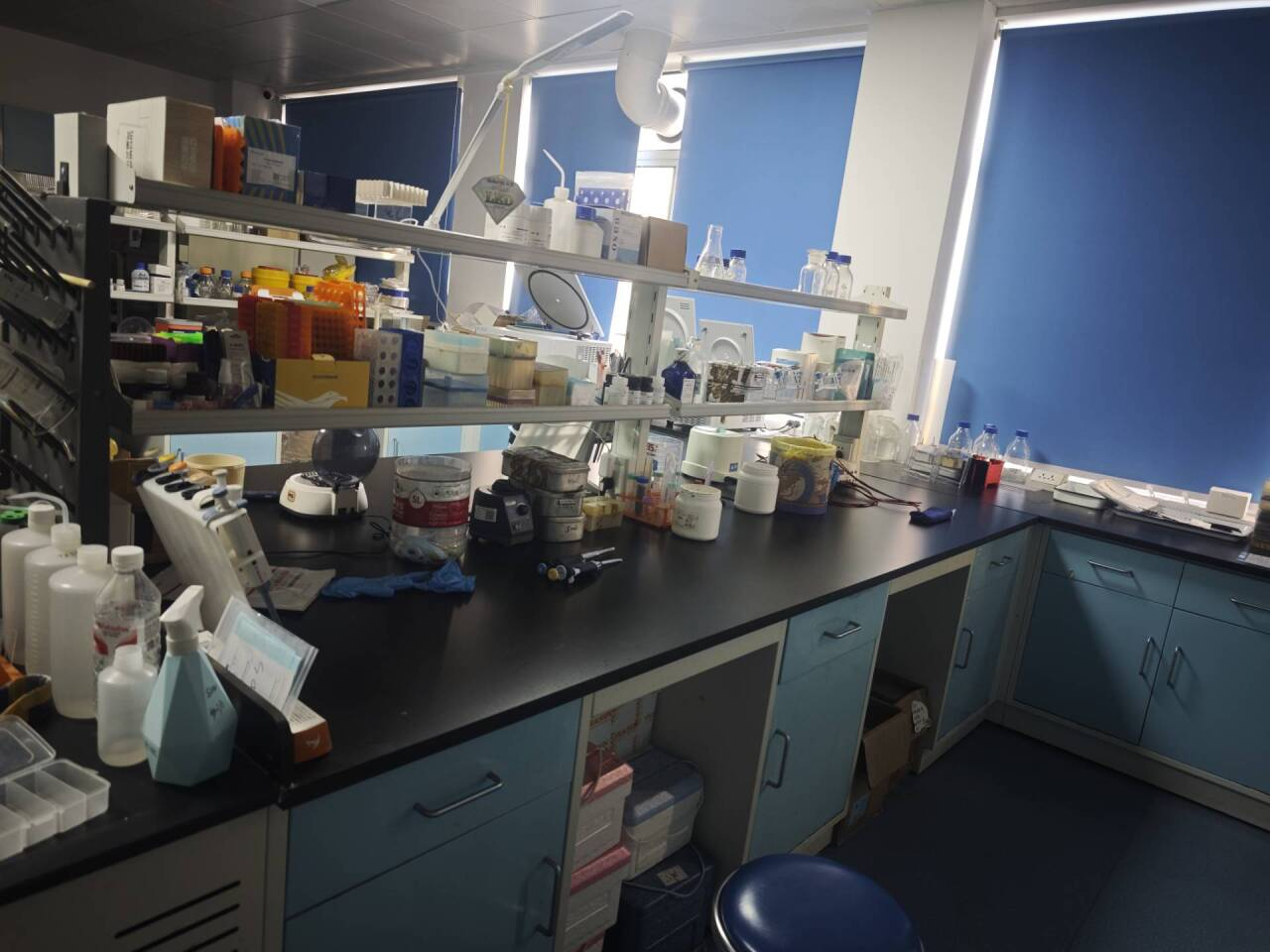 /crm/product/image/20260114/1768372296175056186.png /crm/product/image/20260114/1768372296175056186.png